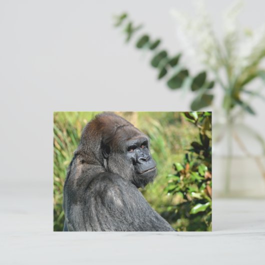 Adult Gorilla Briefkaart (Staand voorkant)