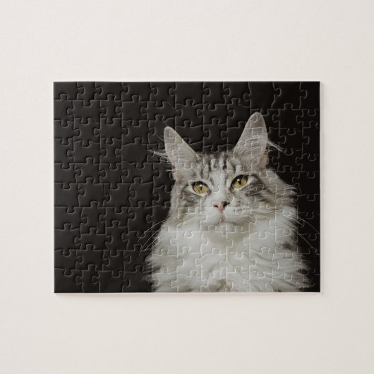 Adult Maine Coon Cat Legpuzzel (Horizontaal)