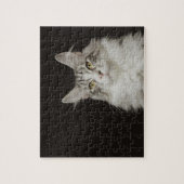 Adult Maine Coon Cat Legpuzzel (Verticaal)