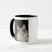 Adult Maine Coon Cat Mok (Voorkant links)