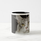 Adult Maine Coon Cat Tweekleurige Koffiemok (Center)