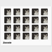 Adult Maine Coon Cat Vierkante Sticker (Vel)