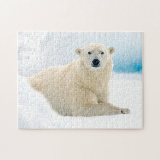 Adult polar bear large boar on the summer ice legpuzzel (Horizontaal)