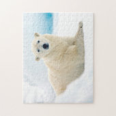 Adult polar bear large boar on the summer ice legpuzzel (Verticaal)