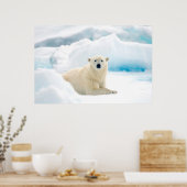 Adult polar bear large boar on the summer ice poster (Keuken)