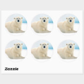 Adult polar bear large boar on the summer ice ronde sticker (Vel)