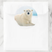 Adult polar bear large boar on the summer ice ronde sticker (Tas)