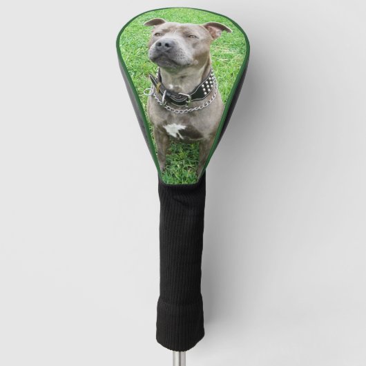 Adult Staffordshire Bull Terrier Golf Driver Hoesj Golfheadcover (Voorkant)