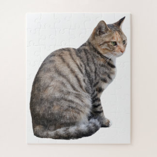 Adult Tabby Cat Legpuzzel