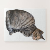 Adult Tabby Cat Legpuzzel (Horizontaal)