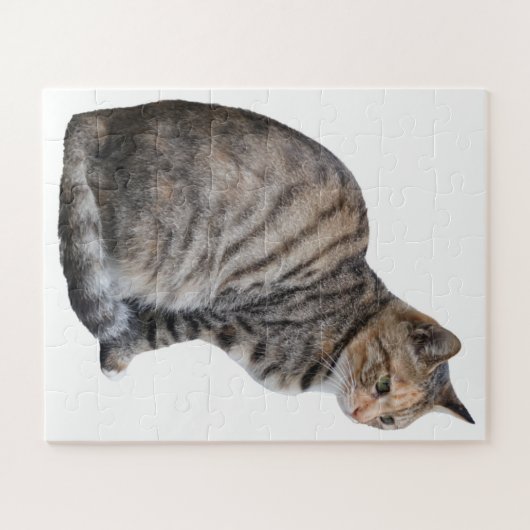 Adult Tabby Cat Legpuzzel (Horizontaal)