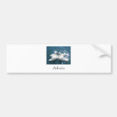 Advaita Swans Bumpersticker (Voorkant)