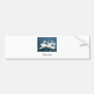 Advaita Swans Bumpersticker