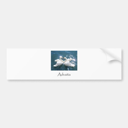 Advaita Swans Bumpersticker (Voorkant)