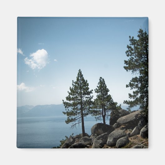 Advantage Magnet (Voorkant)