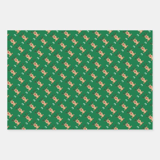 Advent wikkelpapier - 22, 23, 24 inpakpapier vel (Voorkant 3)