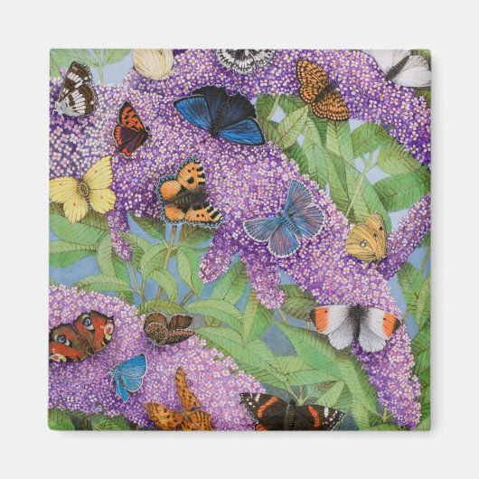 Adventure 2011 magneet (Voorkant)