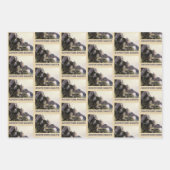 Adventure Awaits. Fantasy landscape Inpakpapier Vel (Voorkant 2)