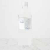 Adventure Awaits Hot Air Ballon Waterfles Etiket (Achterkant)