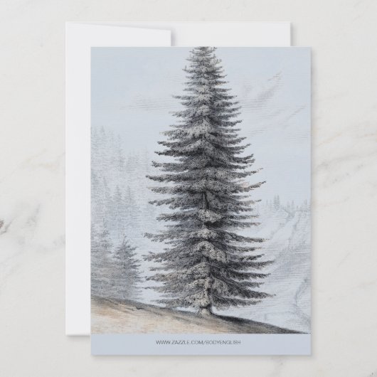 Adventure Awaits Rustic Beren Baby Sprinkle Kaart (Achterkant)