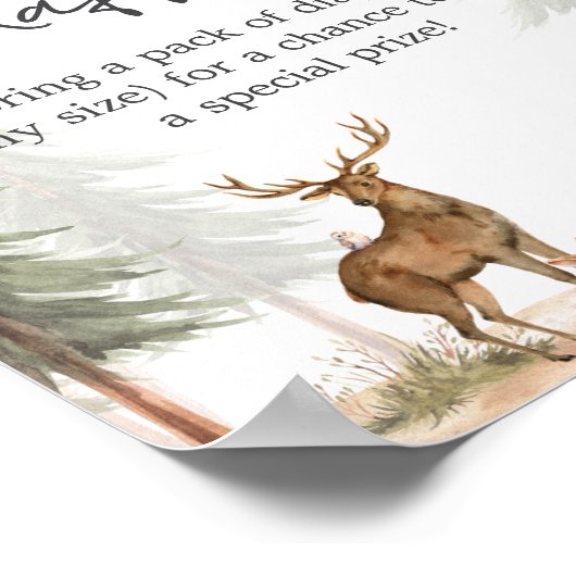 Adventure Begin Baby Shower Diaper Raffle Sign Poster (Hoek)