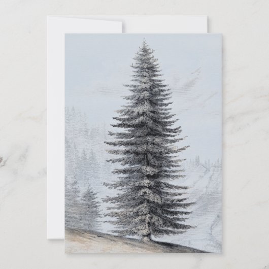 Adventure begint het Baby shower Beren van Rustic  Kaart (Achterkant)