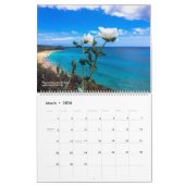 Adventure Brothers: Hawaii-agenda Kalender (Mar 2026)