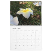 Adventure Brothers: Hawaii-agenda Kalender (Jan 2027)