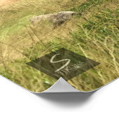 Adventure Brothers Poster (Hoek)