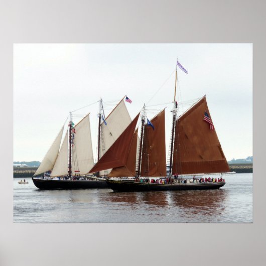 Adventure en Roseway Poster (Voorkant)