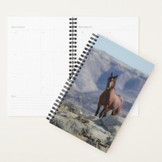 Adventure Planner w / wilde hengst (Display)
