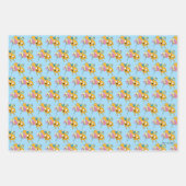 Adventure-tijd | Dame, Bubblegum, Finn & Jake Inpakpapier Vel (Voorkant 2)