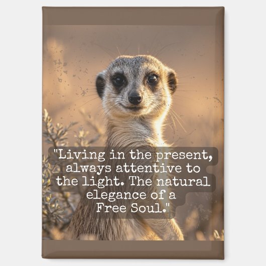 Adventurous Meerkat Living Magneet (Voorkant)