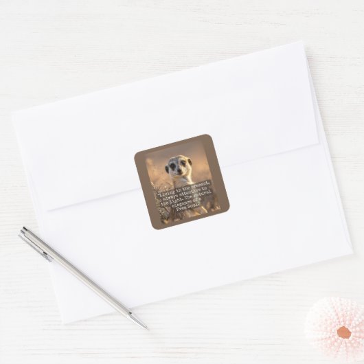 Adventurous Meerkat Living Vierkante Sticker (Envelop)