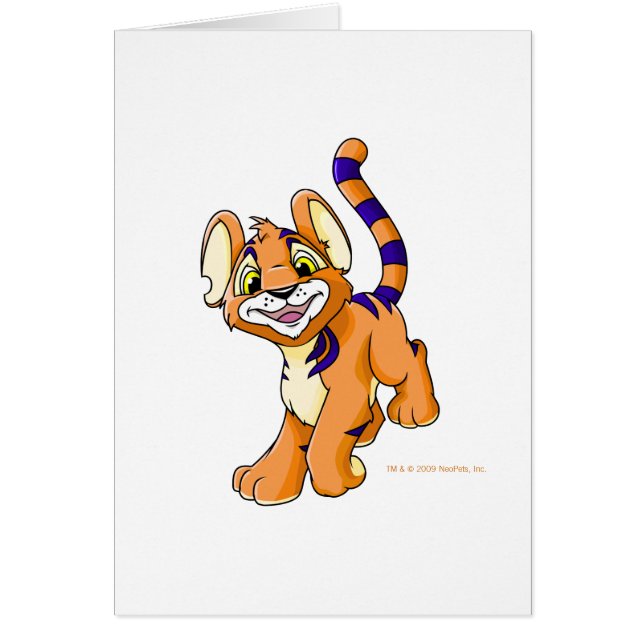 Adventurous oranje Kougra (Voorkant)