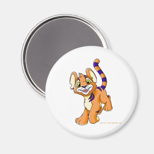 Adventurous oranje Kougra Magneet (Voorkant / Achterkant)