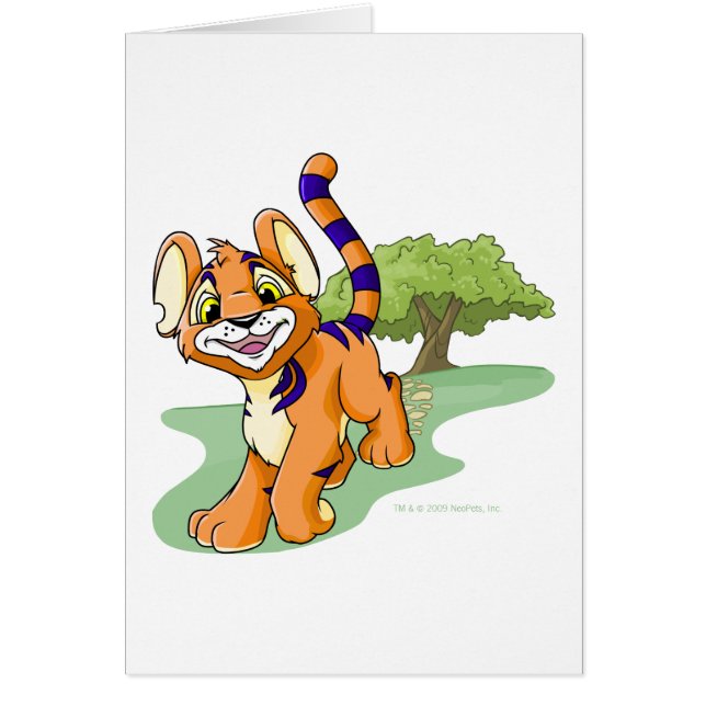 Adventurous oranje Kougra op Mystery Island (Voorkant)