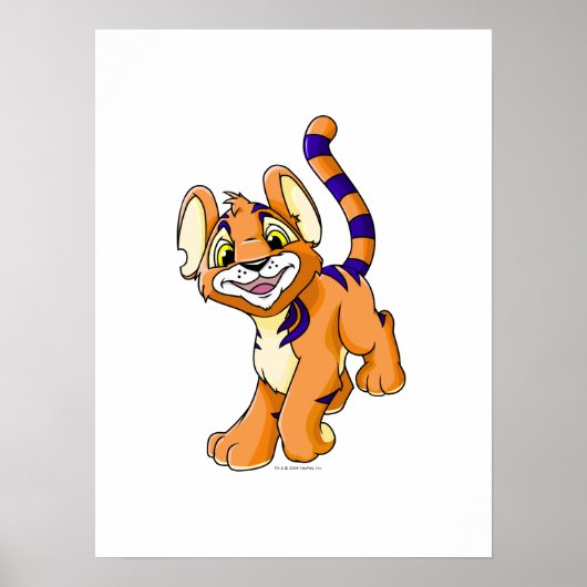 Adventurous oranje Kougra Poster (Voorkant)