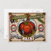 advertentie Ripe rode tomaten Briefkaart (Voorkant / Achterkant)