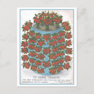  advertentie voor Enormal Strawberry Briefkaart