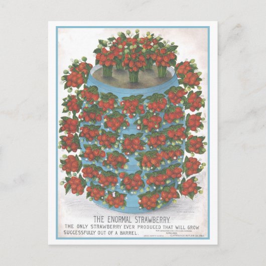  advertentie voor Enormal Strawberry Briefkaart (Voorkant)