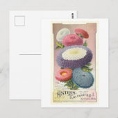  advertentie voor Ferry & Co. Asters Briefkaart (Voorkant / Achterkant)