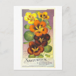  advertentie voor Ferry & Co. Nasturtiums Briefkaart