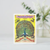  advertentie voor Peacock Style Buggies Briefkaart (Staand voorkant)