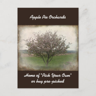 Adverteren Apple Tree in Bloom Briefkaart