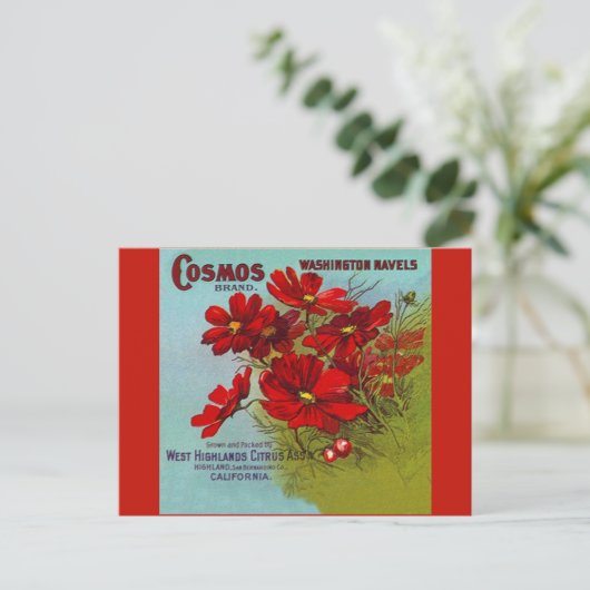 Adverteren Cosmos Washington fruitlabel Feestdagenkaart (Staand voorkant)