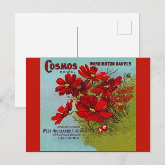  Adverteren Cosmos Washington fruitlabel Feestdagenkaart (Voorkant / Achterkant)