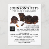 Adverteren klappups, huiswinkel en brommers flyer (Voorkant)