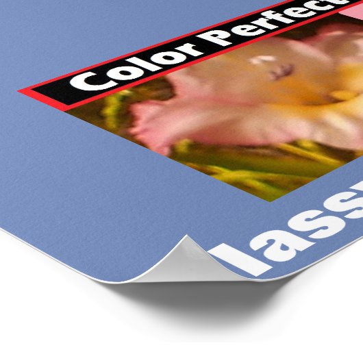 Advertisement Classy Elegant Charming Poster (Hoek)