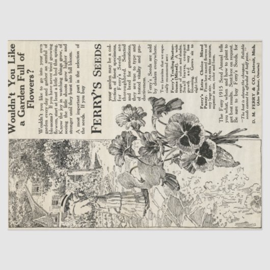 Advertisement voor Victoriaans wervels van Era Fer Tissuepapier (Voorkant)